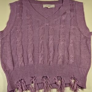 No Comment Women's Purple V-Neck Sweater